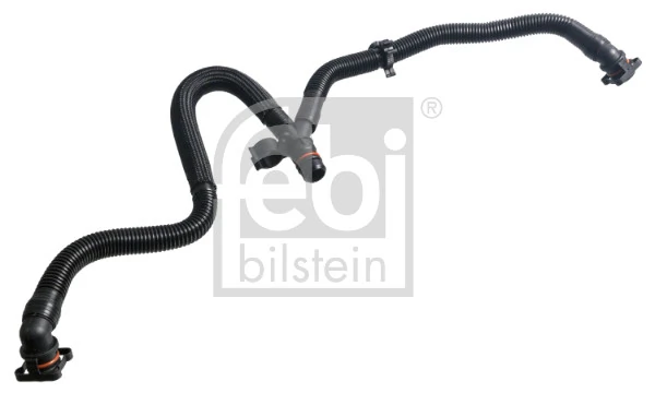 Hose, crankcase ventilation